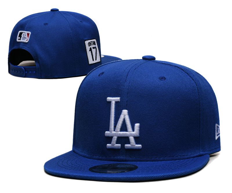 2025 MLB Los Angeles Dodgers Hat YS202503073->->Sports Caps